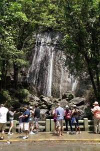 La Coca waterfall at El Yunque Rain Forest
