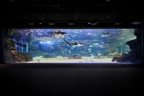Korea aquarium in_to_the_ocean_