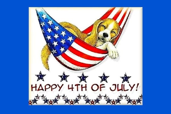 patriotic-American-dog