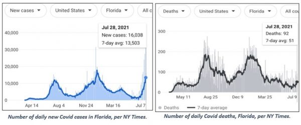 FL COVID cases and deaths chart