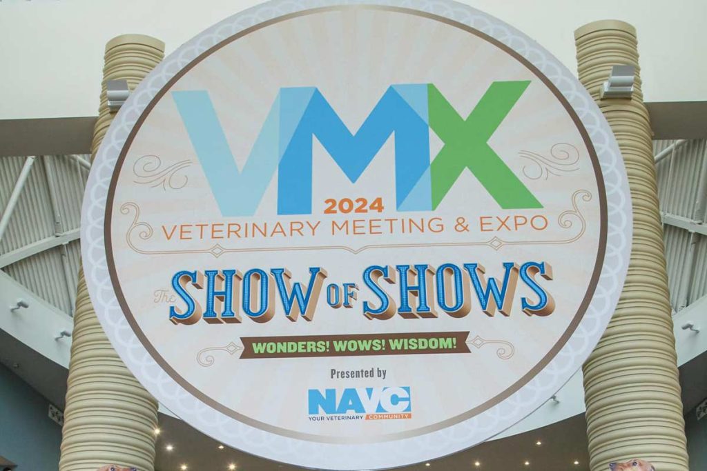 VMX 2024 Showcased Groundbreaking Innovations » Exhibit City News